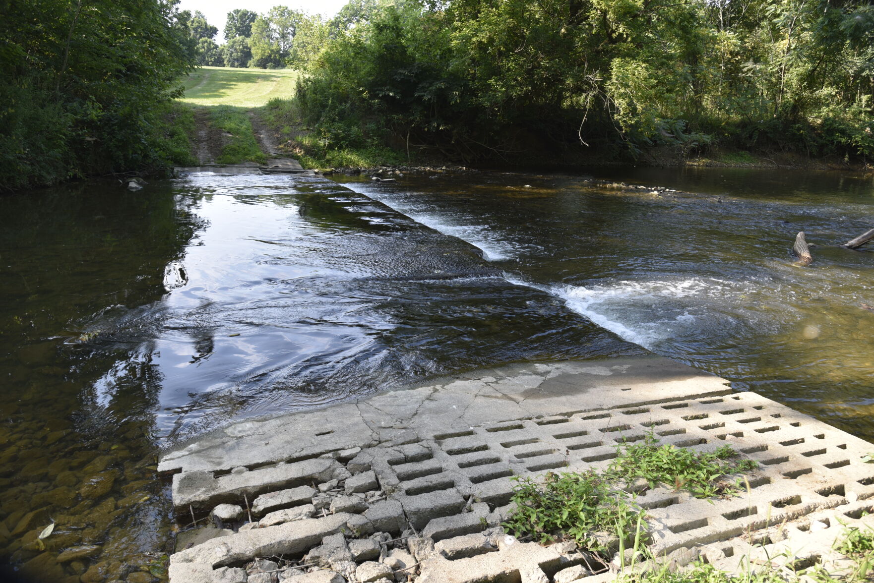 Stream crossing for cattle
